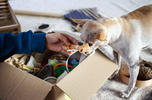 Pet Supply Fulfillment 3 Pet Supply Fulfillment